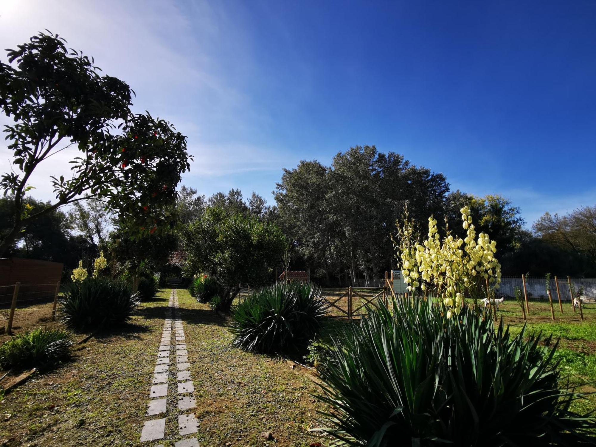 Quinta Do Louredo - Evora Villa Kültér fotó